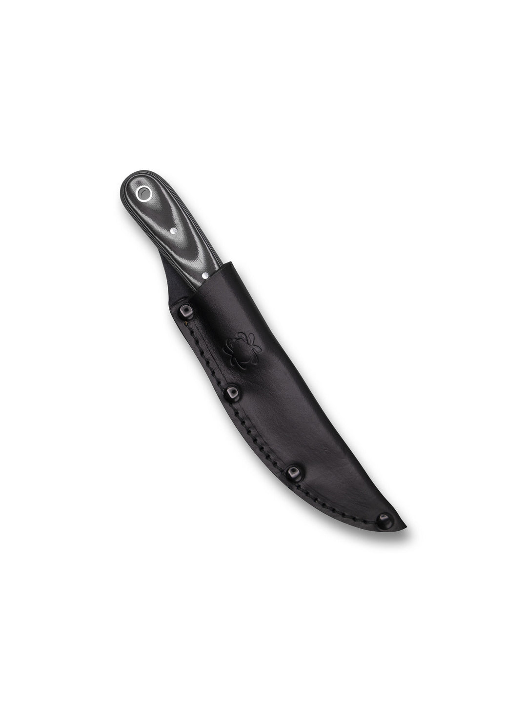 Spyderco Bow River™ Fixed Blade Knife – Designed by Phil Wilson