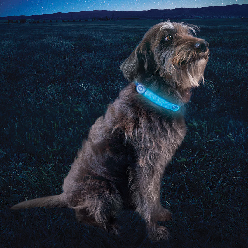 Nite Ize Nitedog LED Collar Cover - portable flashlight - image 12