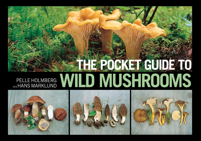 Books Pocket Guide To Wild Mushrooms BK400