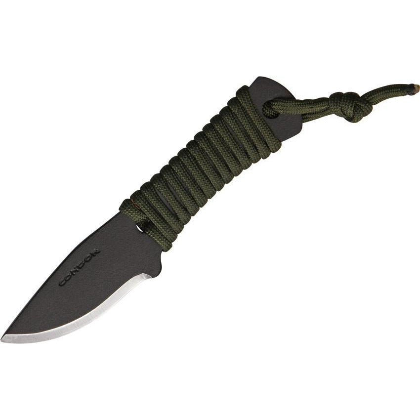 Condor Fidelis
