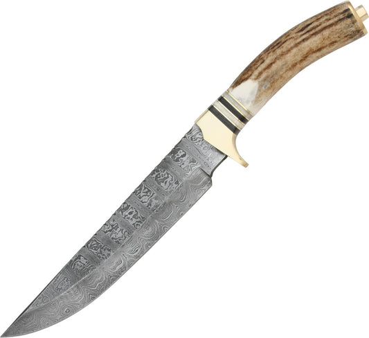 Damascus Bowie DM1006