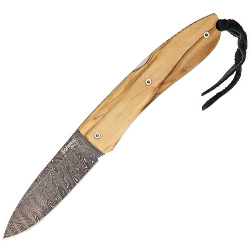 Lion Steel