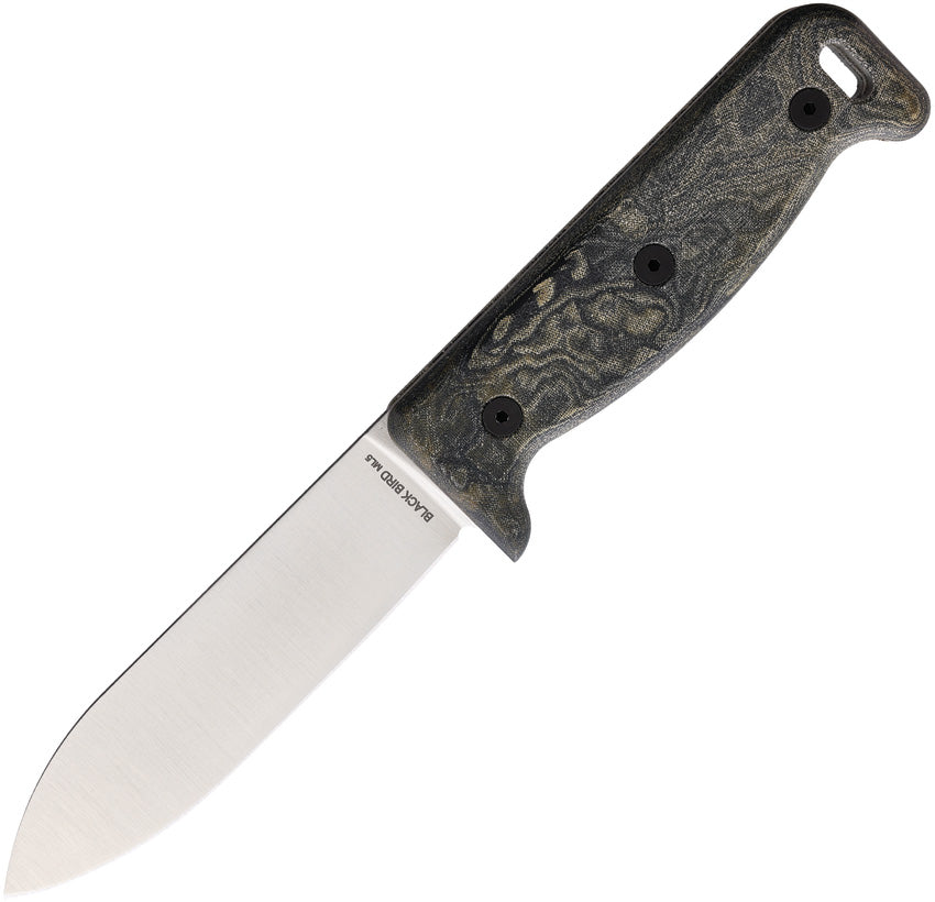 Ontario Black Bird ML5 7502