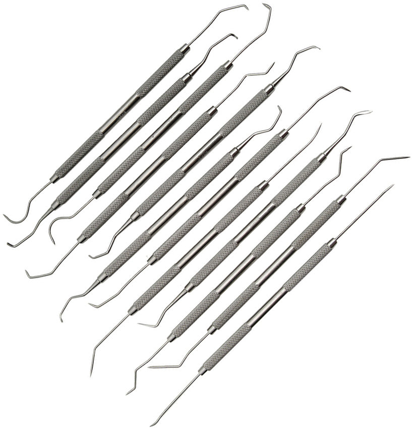 Pakistan Dental Pick Set 12 Pc Assorted 100327-12