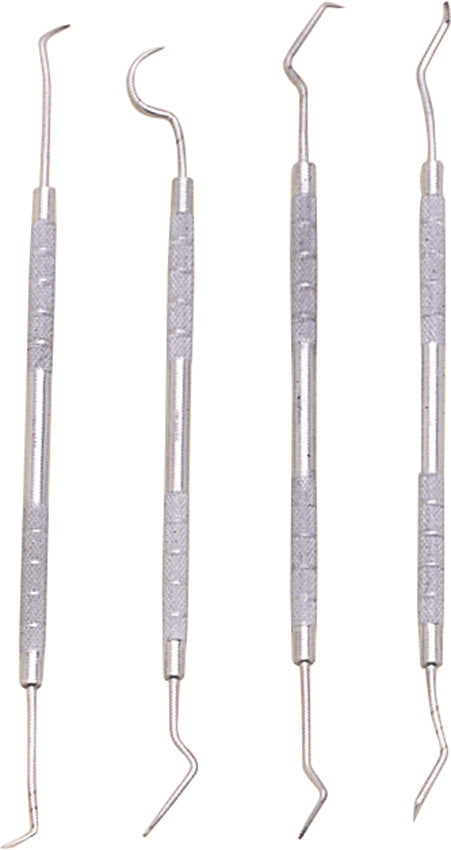 Pakistan Dental Pick Set 100323