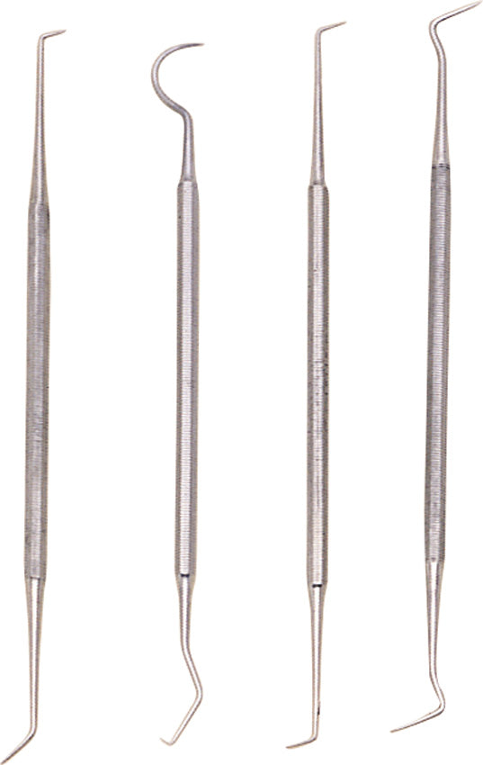 Pakistan Dental Pick Set 100324