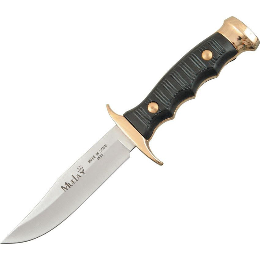 Muela Premium Bowie