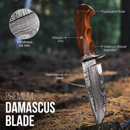 Premium Damascus blade camping knife with walnut handle