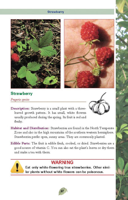 Pocket Guide to Edible Plants - outdoor reference - image 3