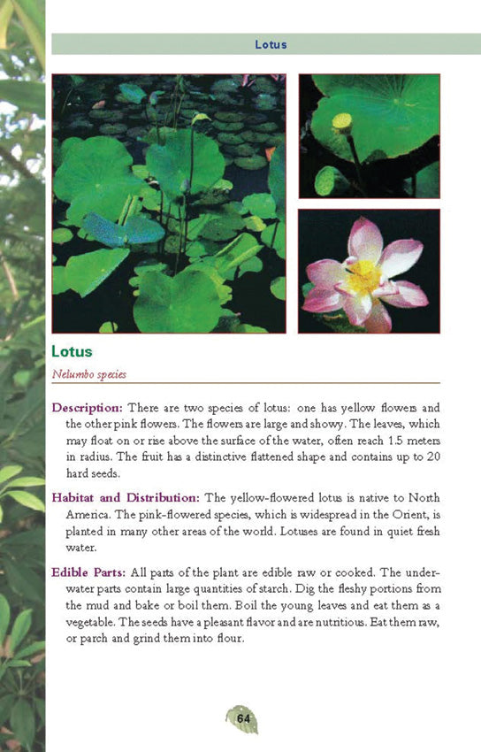 Pocket Guide to Edible Plants - outdoor reference - image 4