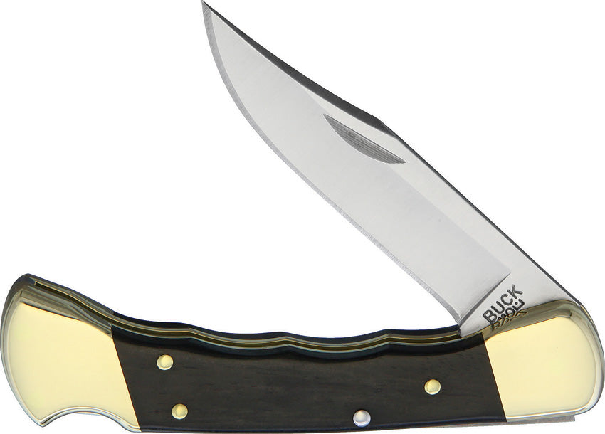 Buck Hunter Lockback 2538 by Buck