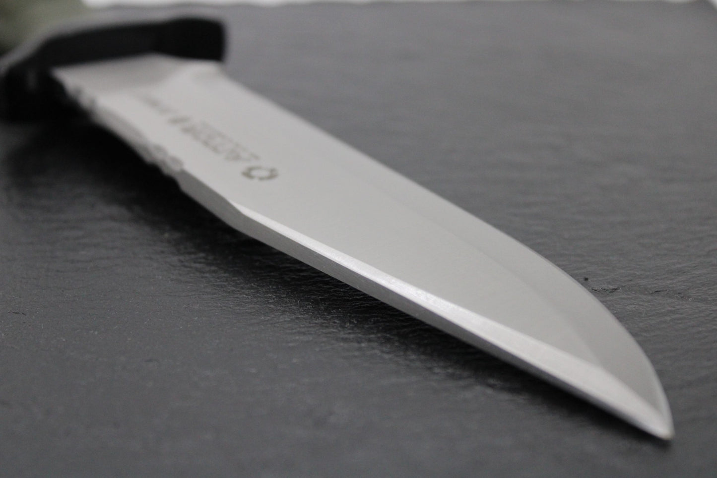 Aitor Bowie NATO OD Green & Black Stainless Fixed Blade Knife w/ Sheath 16047
