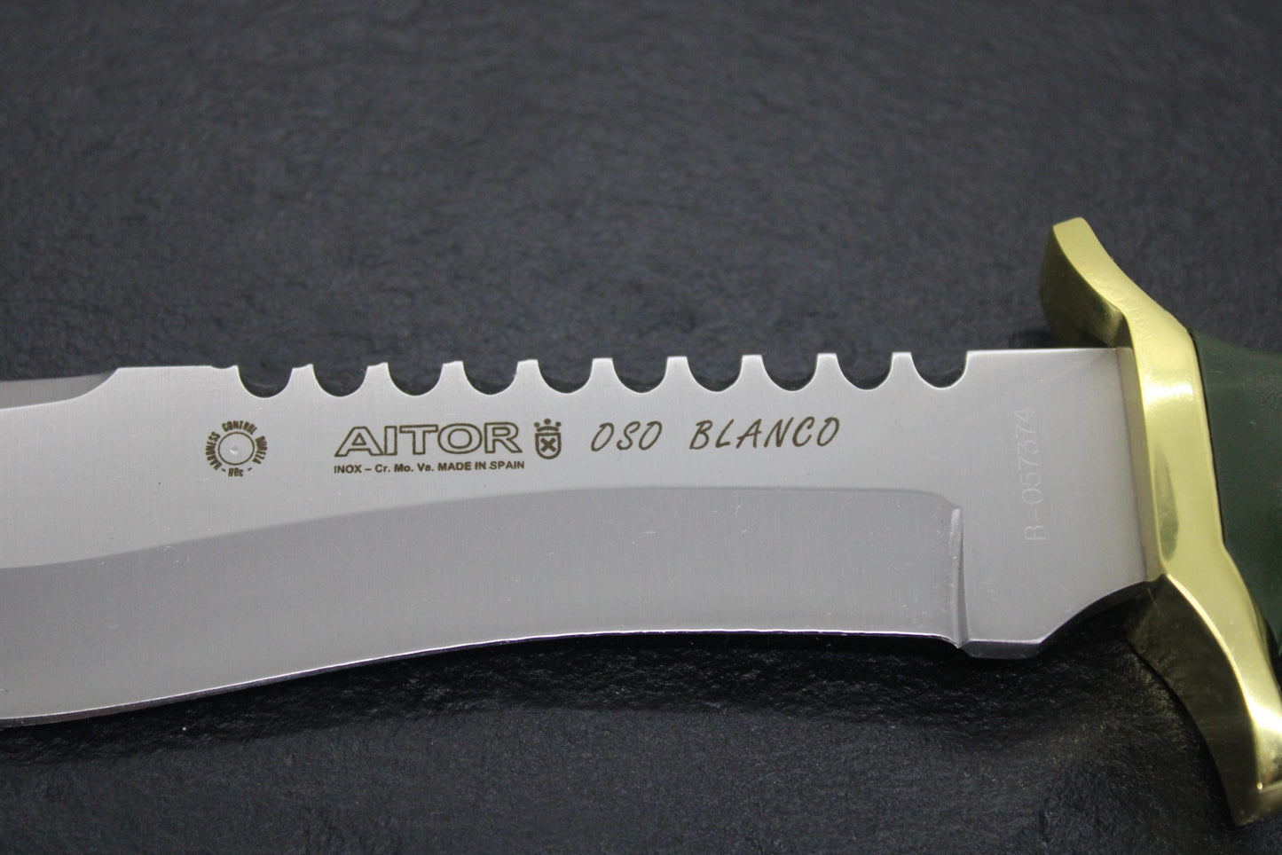 Aitor 16009 Oso Blanco Stainless Clip Point Fixed Blade Knife with Green Textured Polymer Handle
