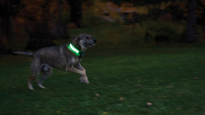 Nite Ize Nitedog LED Collar Cover - portable flashlight - image 10