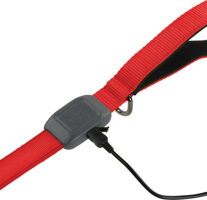 Nite Ize Nitedog Rechargeable Leash - portable flashlight - image 3