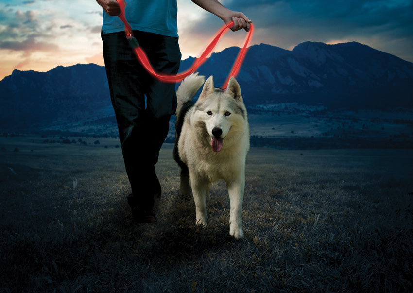Nite Ize Nitedog Rechargeable Leash - portable flashlight - image 4