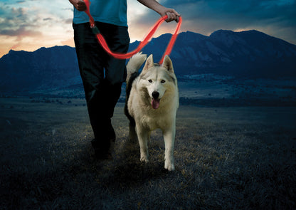 Nite Ize Nitedog Rechargeable Leash - portable flashlight - image 4