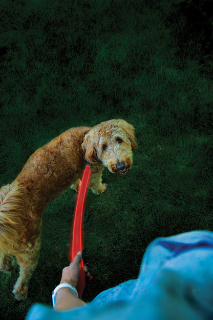 Nite Ize Nitedog Rechargeable Leash - portable flashlight - image 6