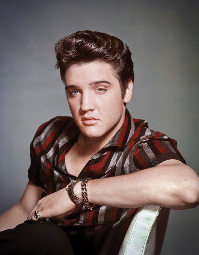 Tin Signs Elvis - outdoor gear storage - image 1