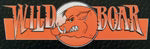 Wild Boar