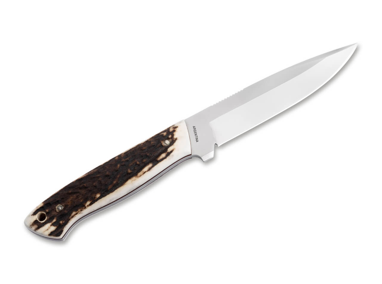 Boker 02BA303H Arbolito Relincho Cuerno Fixed Blade Knife with Stag Handle
