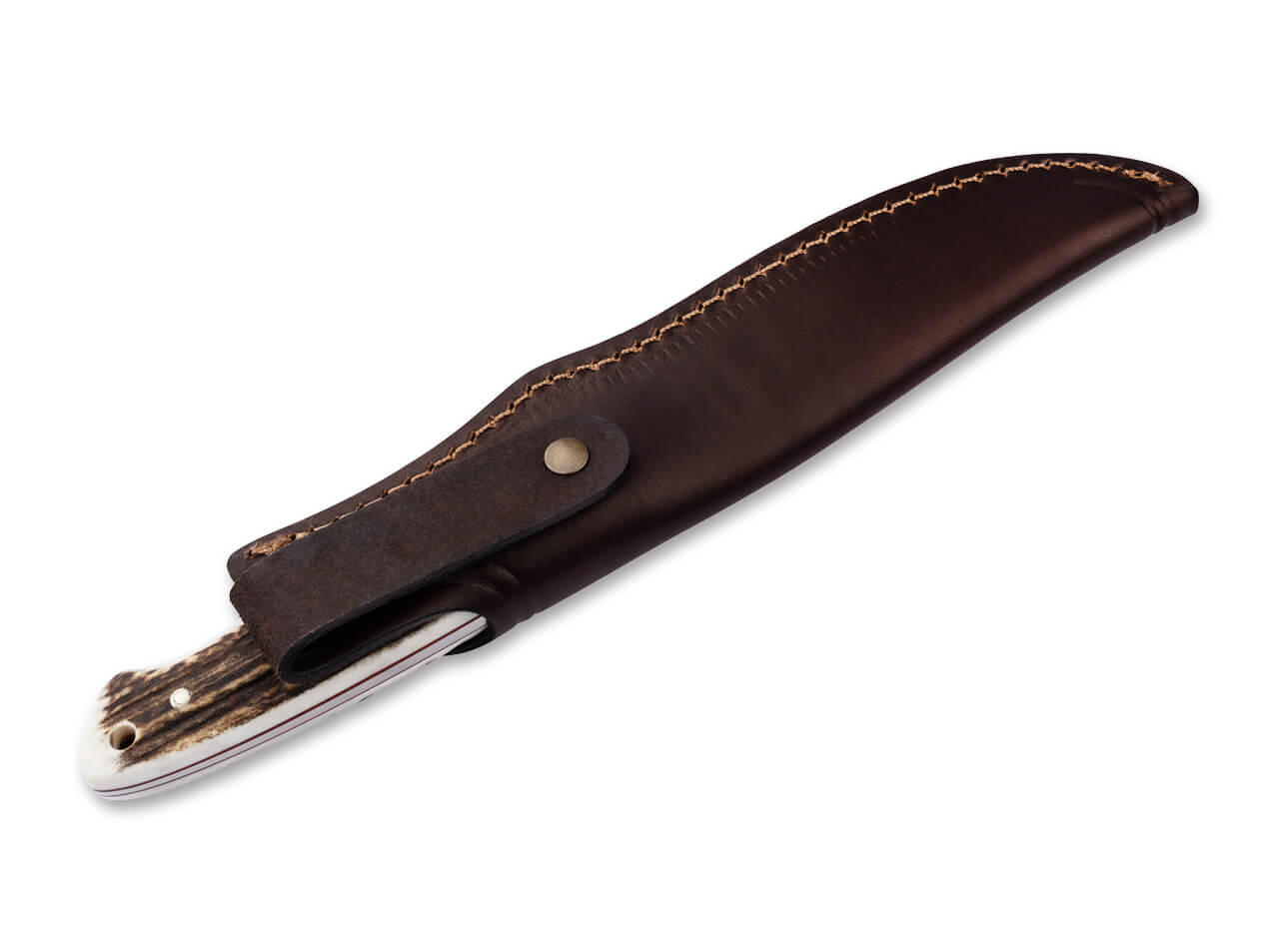 Boker 02BA303H Arbolito Relincho Cuerno Fixed Blade Knife with Stag Handle
