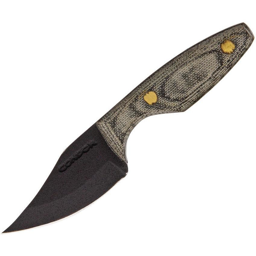 Condor