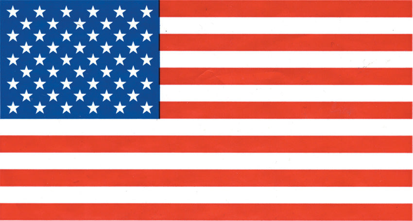 Flags USA Flag RG6878