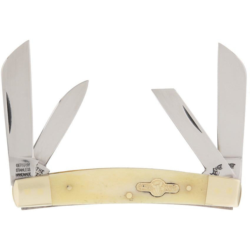 German Bull Bobcat White Smooth Bone
