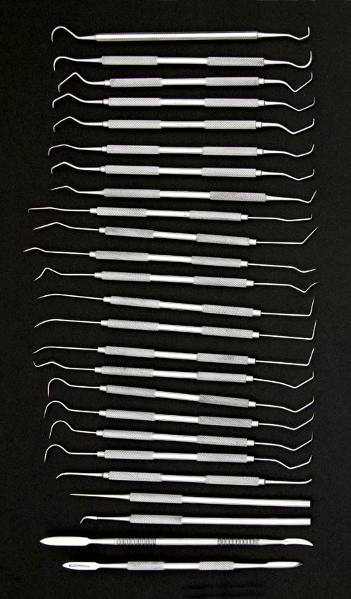 Pakistan 25 Piece Dental Pick Set 100327-25