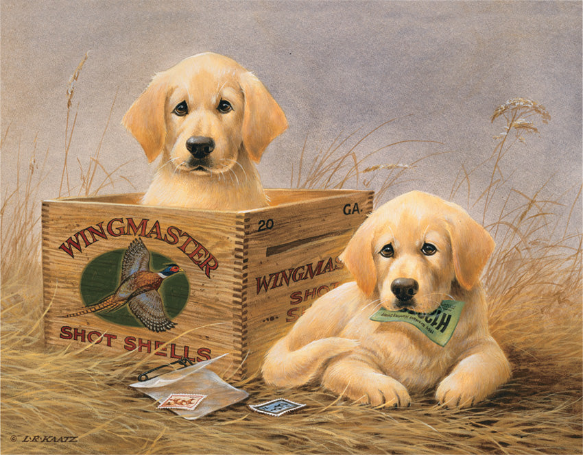 Tin Signs Kaatz -Wingmasters 1201