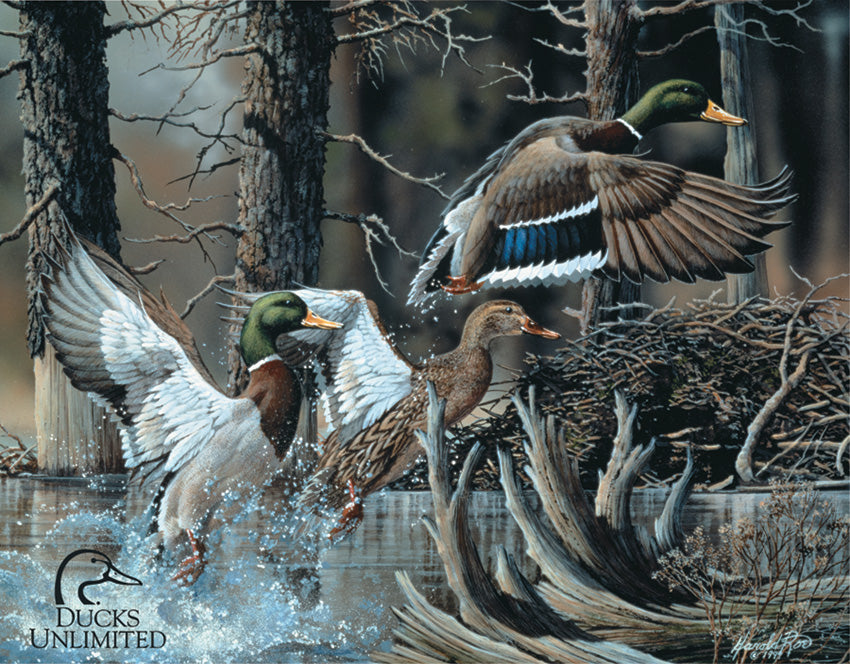 Tin Signs Ducks Unlimited 1204