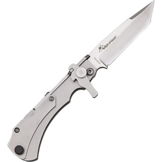 WildSteer