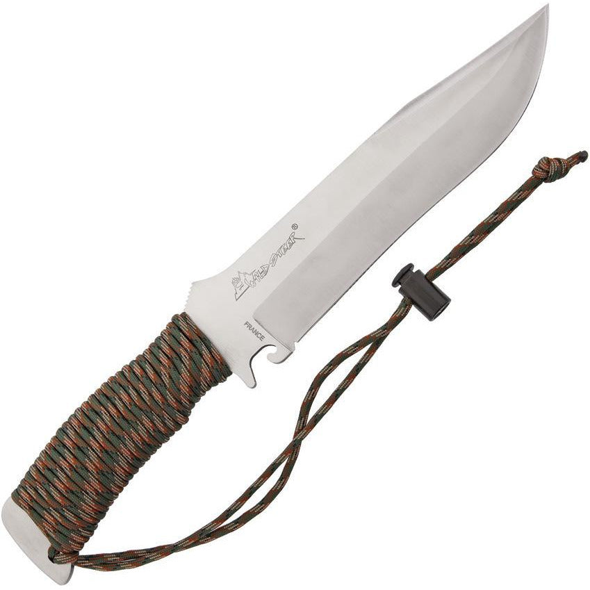 WildSteer